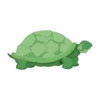 A turtle is standing on its hind legs vector