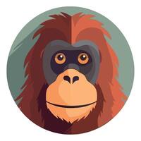An oranguel face in a flat design vector