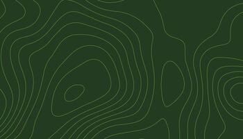 abstract pattern with lines. background of the topographic map. elevation contouring outline cartography texture. geographic abstract grid. futuristic wireframe landscape background. vector