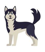 A cartoon dog with blue eyes standing on a white background vector