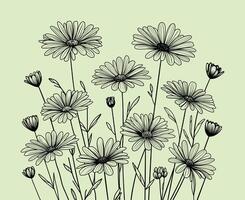 illustration of daisies line art on a pastel green background. Minimalist design captures the delicate details of the flowers, perfect for botanical themes, wallpapers, and decorative projects. vector