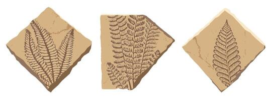 Prehistoric Plant fossil, ancient stone fern leaf imprint, ancient nature, paleontology science. Cartoon beige rock with silhouette of tropical jungle forest plant, Jurassic fern fossil. set vector