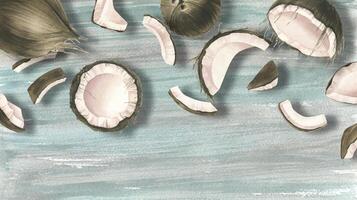 Whole and split coconuts, pieces of pulp are different in size against a background of textured painted turquoise wood. Watercolor illustration. Banner for the design and design of websites, products vector