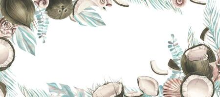 Whole coconuts and slices with tropical palm leaves and seashells. Watercolor illustration. Template on a white background from the collection of COCONUTS. For the dcoration and design. vector