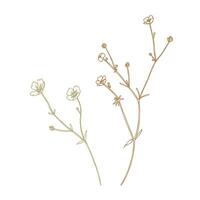 Ranunculus acris two branches wild, meadow herbs, dried flowers. Line art is a simple hand-drawn illustration in beige, ochre, brown ink. Isolated EPS set of elements. vector
