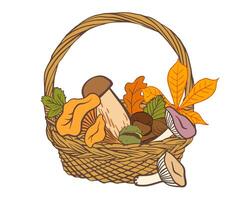 basket filled with various autumn elements like mushrooms, leaves, and chestnuts. Ideal for seasonal designs, harvest-themed projects, or rustic decorations. vector