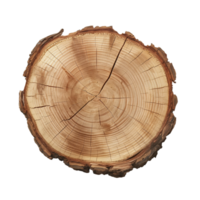 Tree Trunk Cross Section with Growth Rings. Wood texture, nature background, rustic, natural, pattern png