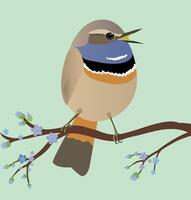 A very cute Bluethroat bird singing a song in the shape of an egg. Soft green background. The bird sits on a branch with blue blossoms. vector