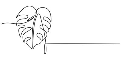Continuous Line Drawing of Monstera Esqueleto Leaf with Editable Stroke vector