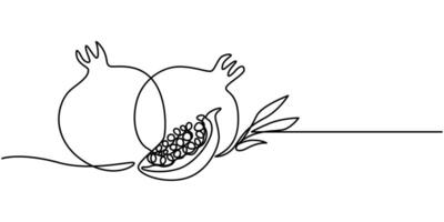 Pomegranate in Continuous single one line drawing vector