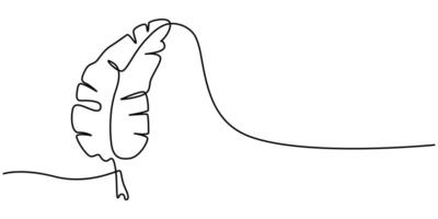 Banana Leaf Continuous Line Drawing vector
