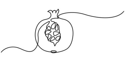 Pomegranate in Continuous single one line drawing vector