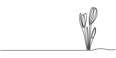 Group of spring crocus flowers in continuous line art drawing style vector