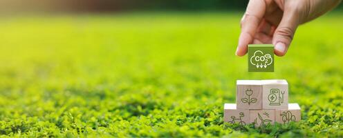 Wooden block for co2, ESG and net zero. Carbon reduction strategy and action to limit climate change and global warming. world environment day, world earth day. green business photo