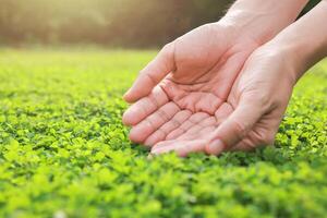 Hands on nature background. ecology and environment concept. save our planet, world environment day, world earth day. sustainable development and green business. photo