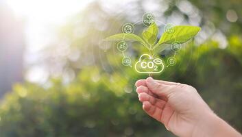 Hand holding with tree for co2, ESG and net zero. energy saving concept. save our planet, world environment day, world earth day. sustainable development and green business. photo