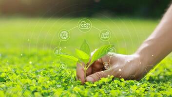 Hand holding with tree for co2, ESG and net zero. energy saving concept. save our planet, world environment day, world earth day. sustainable development and green business. photo