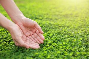Hands on nature background. ecology and environment concept. save our planet, world environment day, world earth day. sustainable development and green business. photo