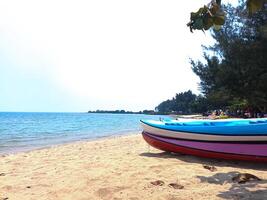 Canoes are displayed on Blebak Beach, Jepara photo