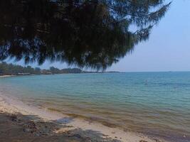 Green leaves with wonderful view of tropical beach photo