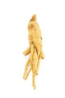 Dried ginseng root on a white background photo