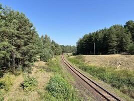 Natural photo background of railroad tracks in the middle of a green pine forest. Pine plantation