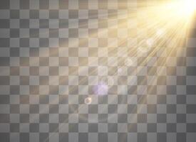 Light flare special effect with rays of light. vector