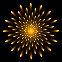 Firework on black background. Yellow firework. vector
