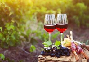 Two glasses of rose wine with bread, meat, grape and cheese photo