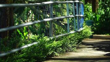 A blue metal railing with a green bush in the background video