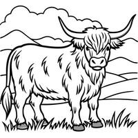 Highland cow in a field vector