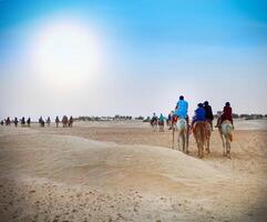 Group of tourists going for a desert camel safari photo