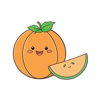 Cantaloupe melon with prosciutto and basil vector