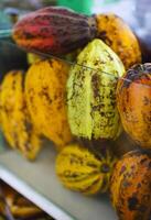 a display of various types of fruits and vegetables photo