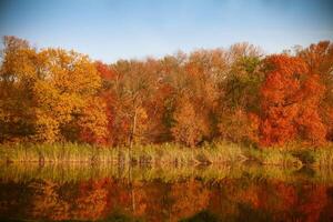 Bright colors of autumn in the park by the lake with ducks photo