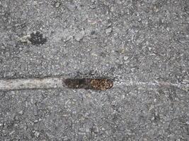 Scuff marks on the asphalt road from an accident photo