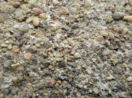 Texture of small sea pebbles. Natural stone seamless background. Rough surface of pebble stone. Design for wallpaper, print, and interior. Top view, soft daylight photo