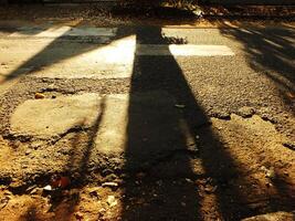 The cross shadow of a large tree appeared on the broken asphalt road. The shadows are large and dark. The road was covered by leaves and has many cracks photo