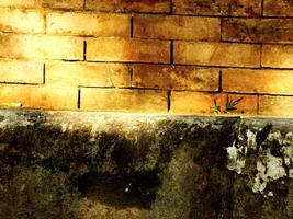 Brick wall with one grass plants growing on it. The walls were dirty and there were shadows formed from the reflection of the morning sun photo