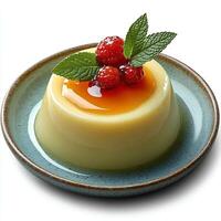 vanilla pudding isolated on white background with shadow. vanilla pudding dessert top view photo