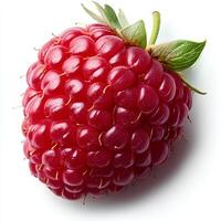 Raspberry sprouts isolated on white background with shadow. red berry fruit raspberries isolated for promotional purposes. autumn fall fruit raspberries photo