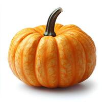 pumpkin isolated on white background with shadow. autumn fall fruit pumpkin for food preparation photo