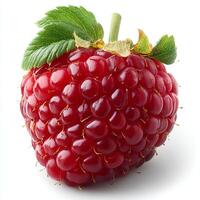 Raspberry sprouts isolated on white background with shadow. red berry fruit raspberries isolated for promotional purposes. autumn fall fruit raspberries photo