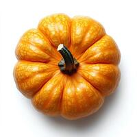 pumpkin isolated on white background with shadow. autumn fall fruit pumpkin for food preparation photo
