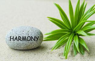 Harmony text engraved on stone with plant and sand background photo