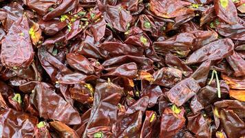 Top view of dry chili displayed in supermarket photo