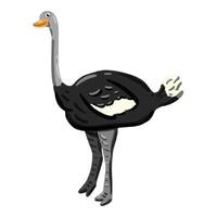 Image of a cute colorful ostrich. This illustration showcases the intricate features of an ostrich's anatomy. Perfect for educational materials and animal-themed projects. Isolated image. vector