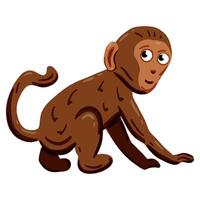 image of a cute colorful Monkey. This illustration showcases the intricate features of an monkey's anatomy. Perfect for educational materials and animal-themed projects. Isolated image. vector