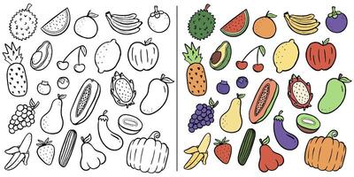 A collection of illustration fruits in two versions, black and white and colored. Includes bananas, watermelon, papaya, and more. Ideal for coloring books, illustrations, or graphic design. vector