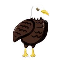 image of a cute, colorful eagle. This illustration showcases the intricate features of an eagle's anatomy. Perfect for educational materials and animal-themed projects. Isolated image. vector